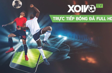 Xoivo.rent - Nền tảng xem trực tiếp bóng đá hàng đầu Việt Nam